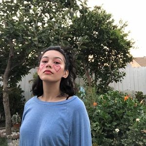 heathered american apparel crewneck